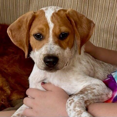 Cosmo Park Avenue — thumbnail 5