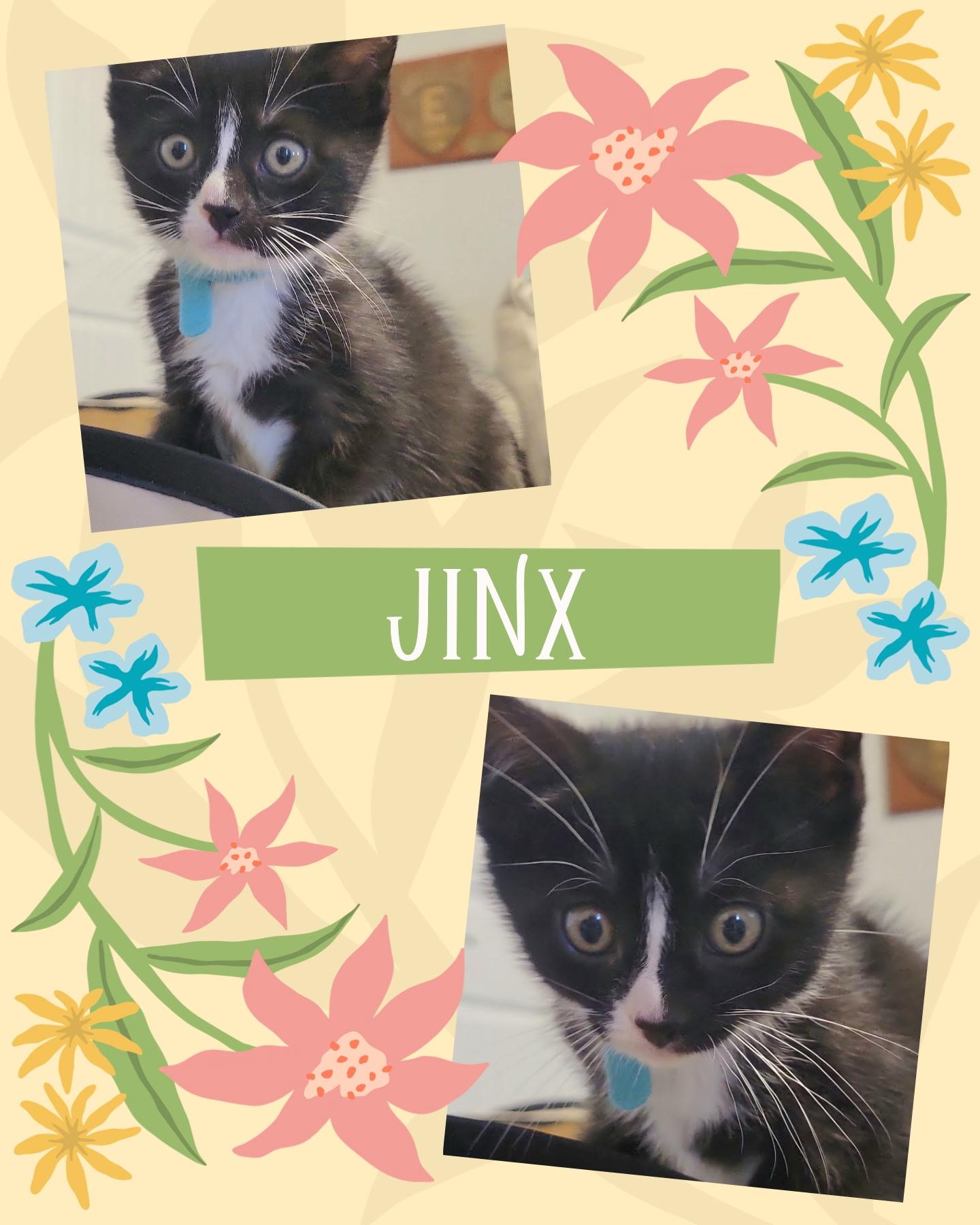 Jinx