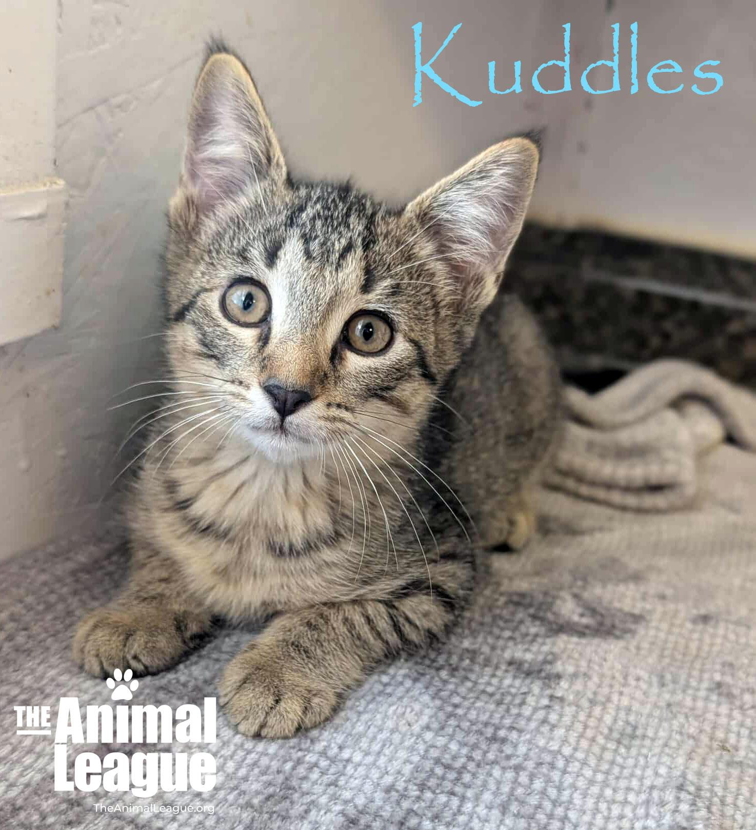 Kuddles