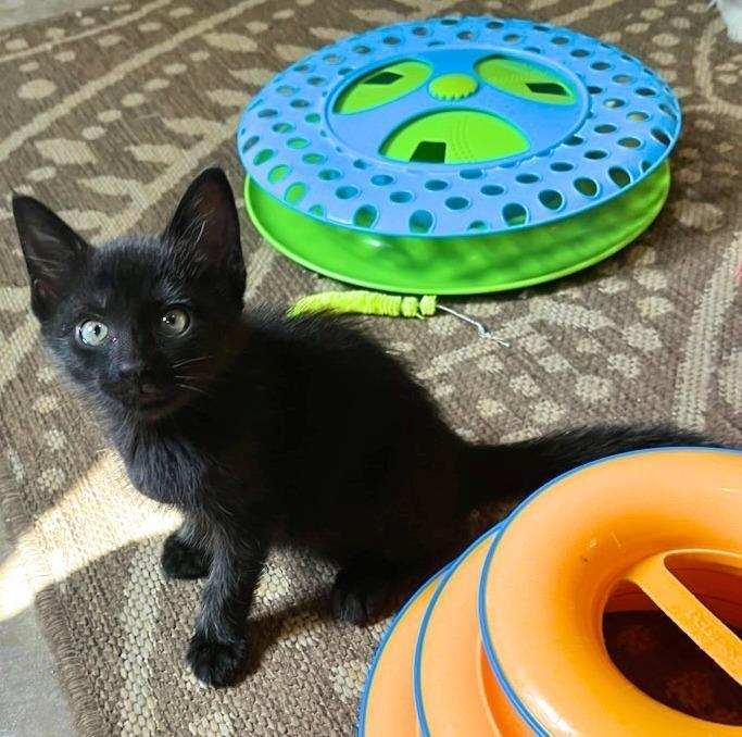 Radartuned In To Love thumbnail 5