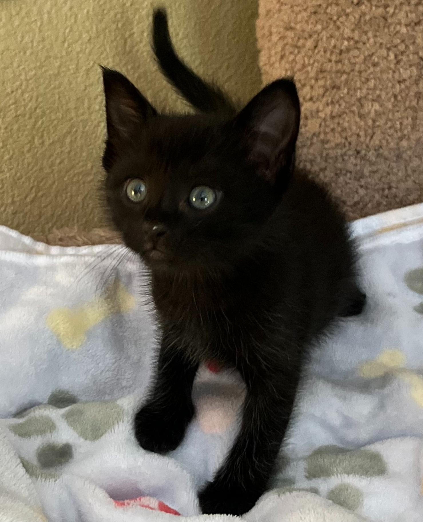 Radartuned In To Love thumbnail 6