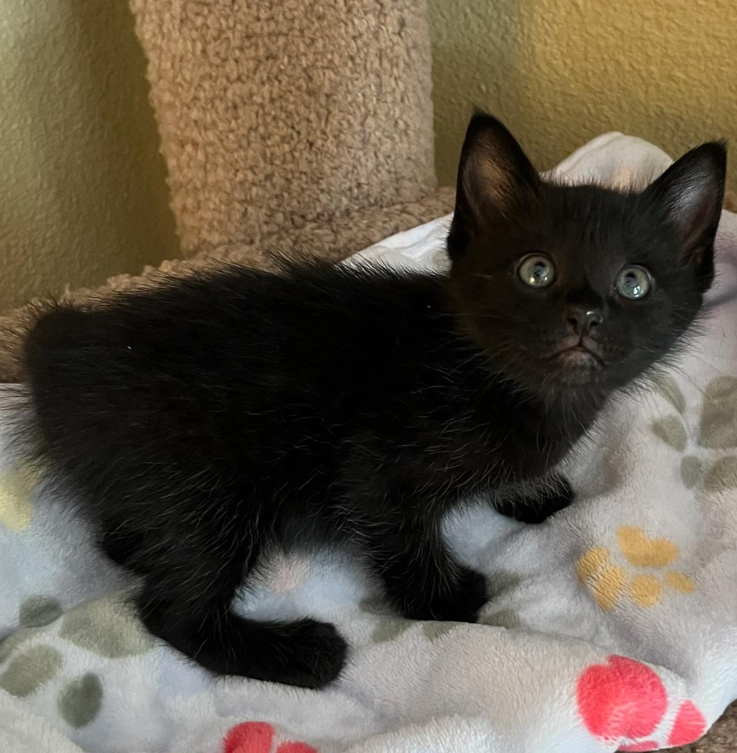 Radartuned In To Love thumbnail 3