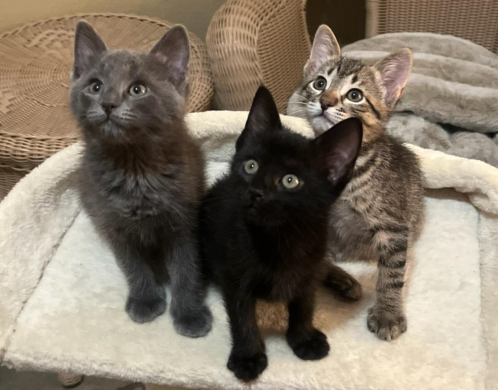 Radartuned In To Love thumbnail 4