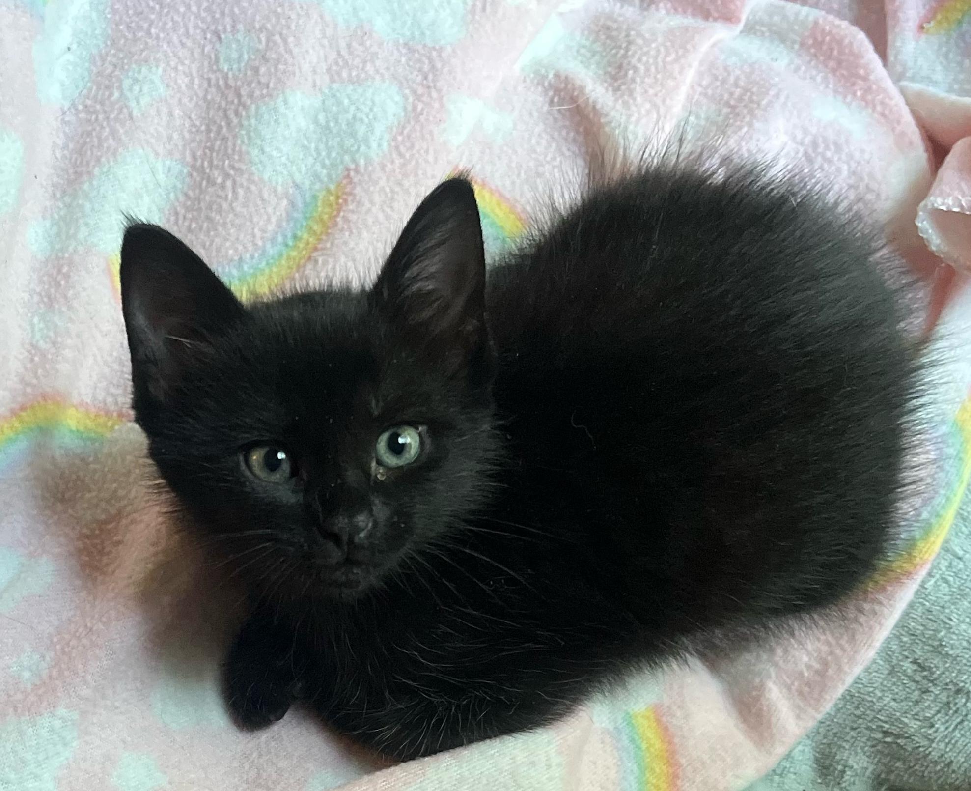 Radartuned In To Love thumbnail 2