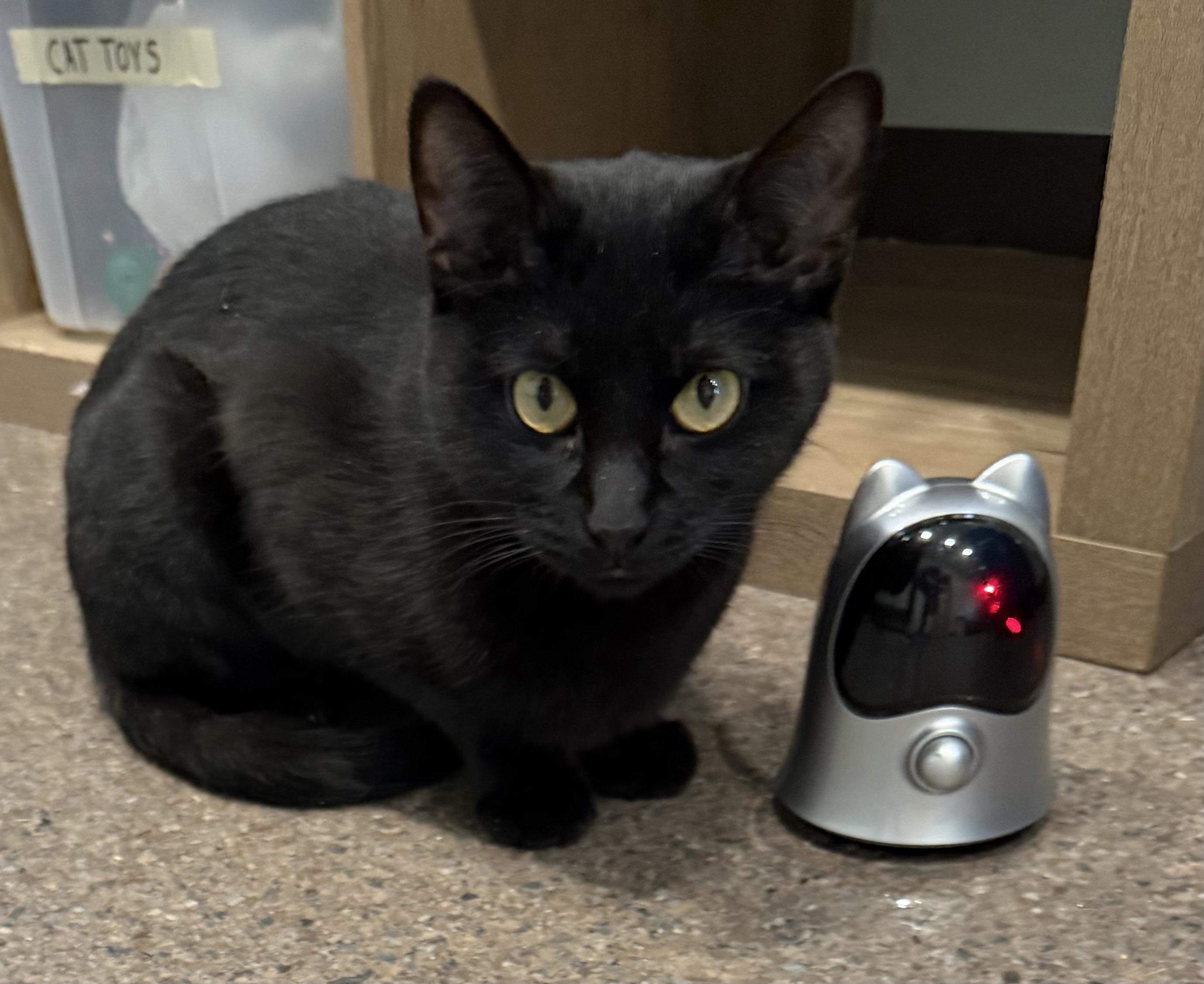 Spooky — thumbnail 3