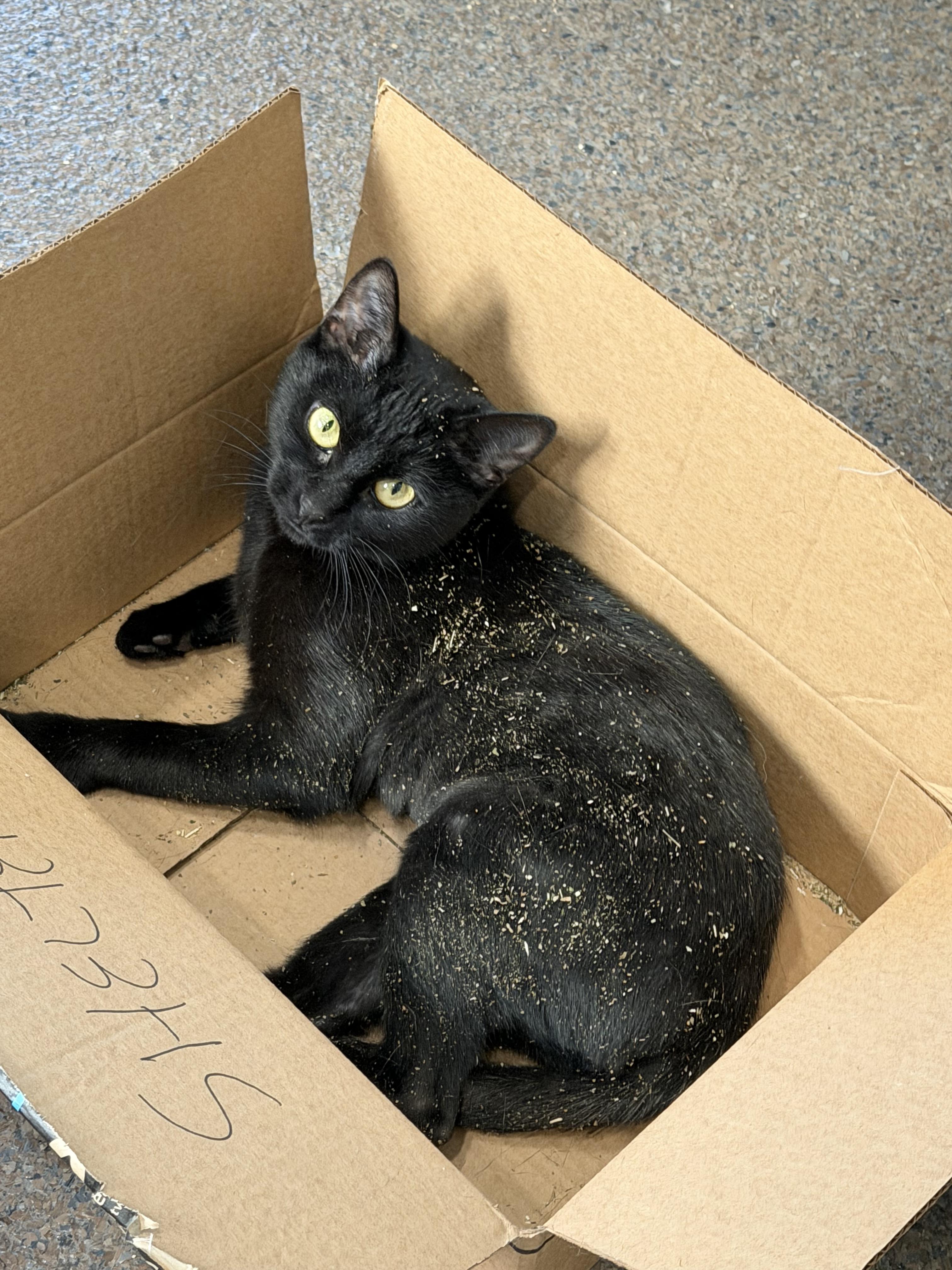 Spooky — thumbnail 5