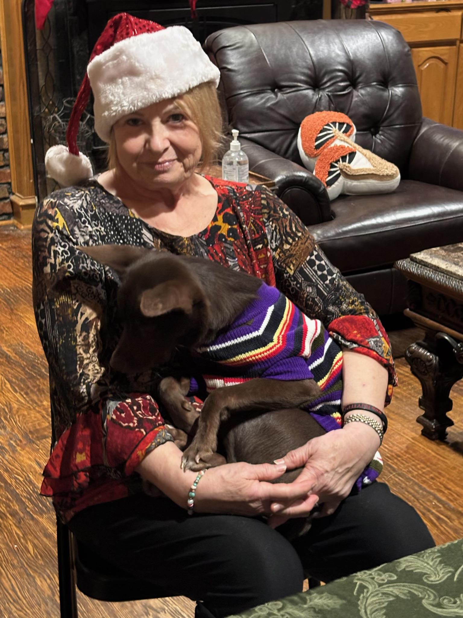 Enlarge Munchkin, a other mixed breed in Dallas, TX image 3/5