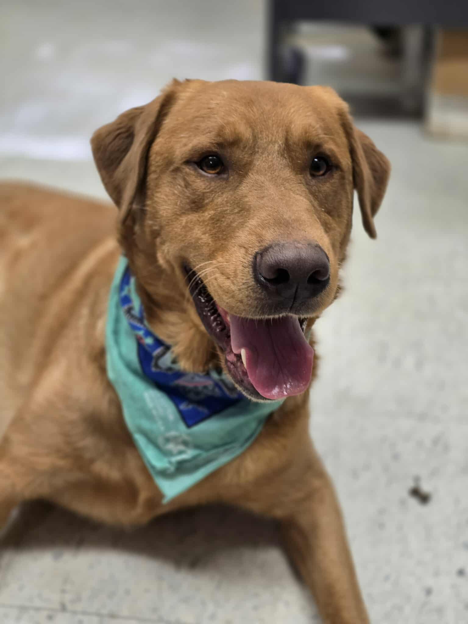 Benny