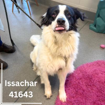Issachar and Bartholomew 2
