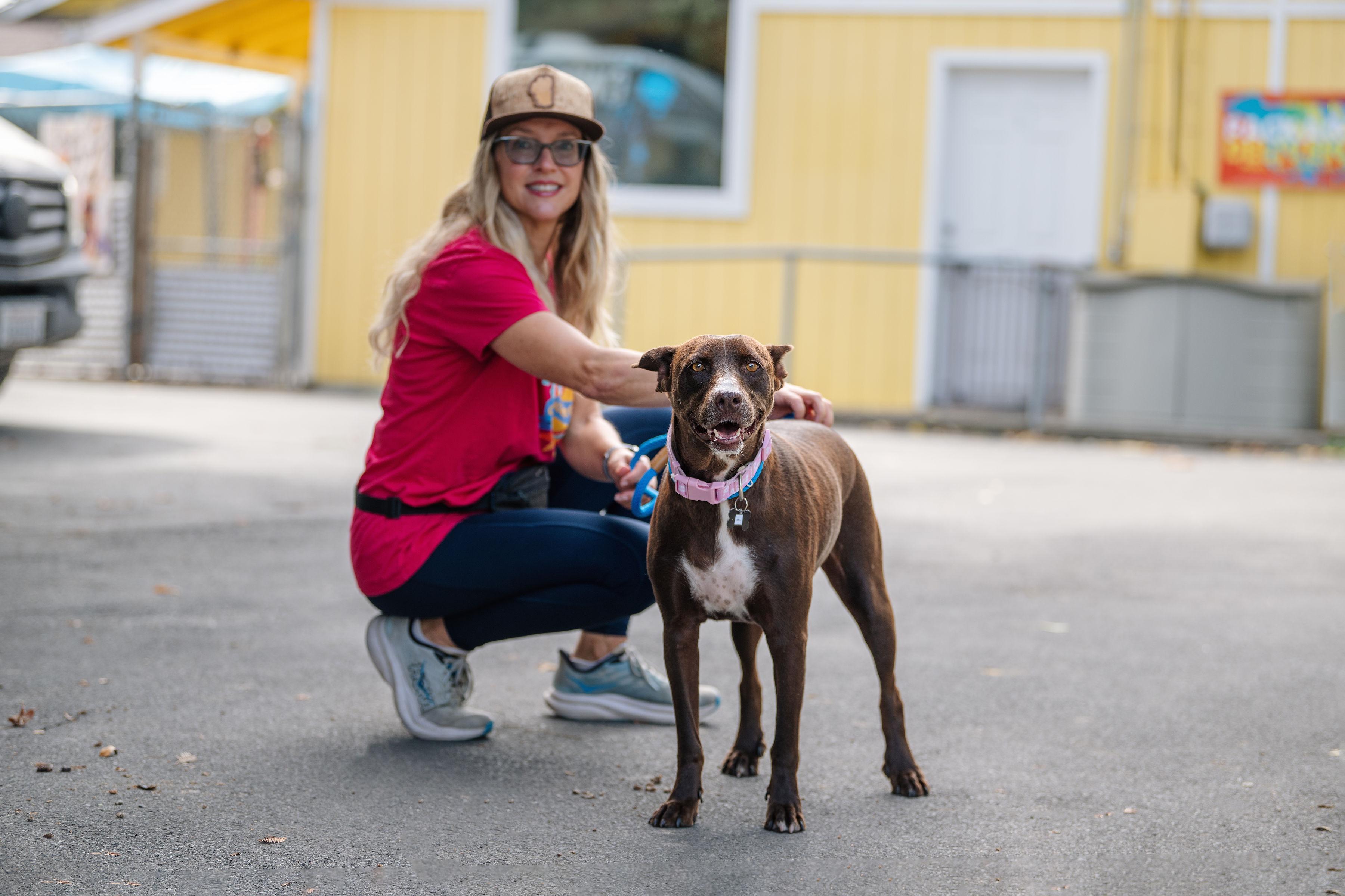 Enlarge Mia, a Adoptable mixed breed in Santa Rosa, CA image 3/4