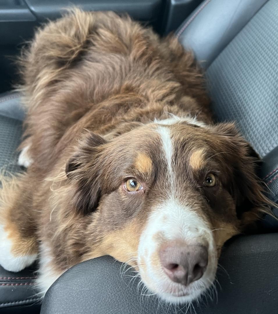 Remi