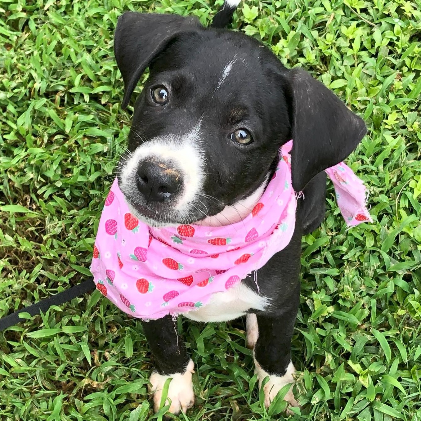 Ellie