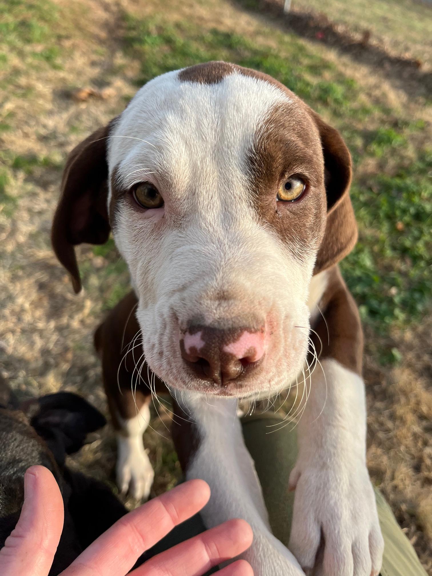 Juice — thumbnail 2