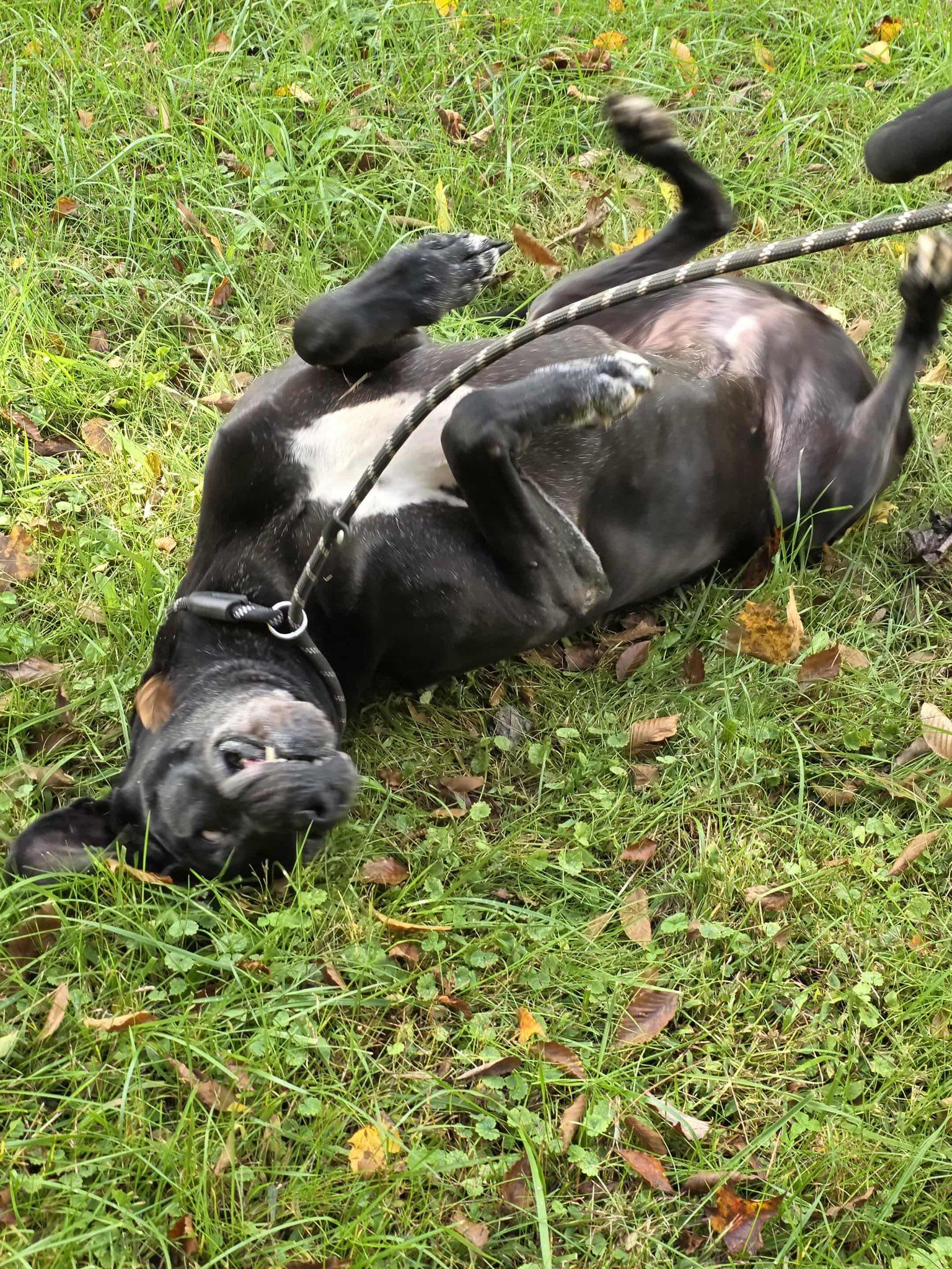 Sally (20251208-04) — thumbnail 2