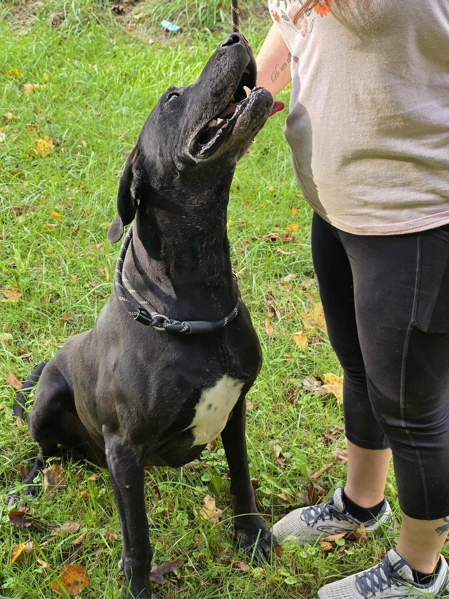 Sally (20251208-04) — thumbnail 3