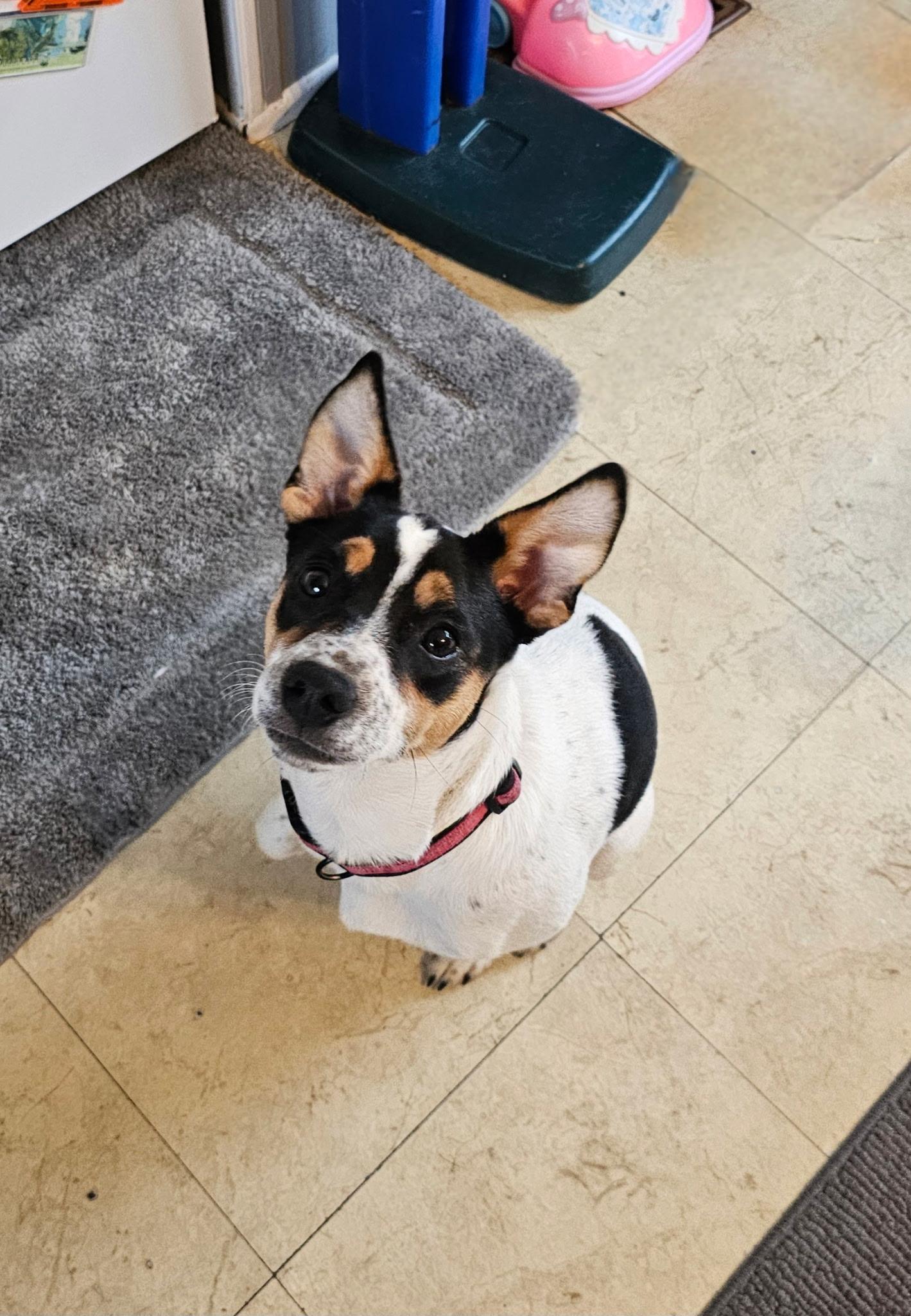 Bonnie