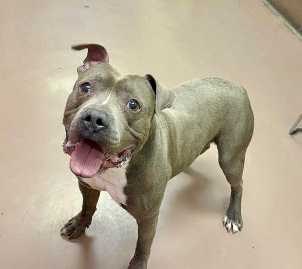 Rasmus — thumbnail 2