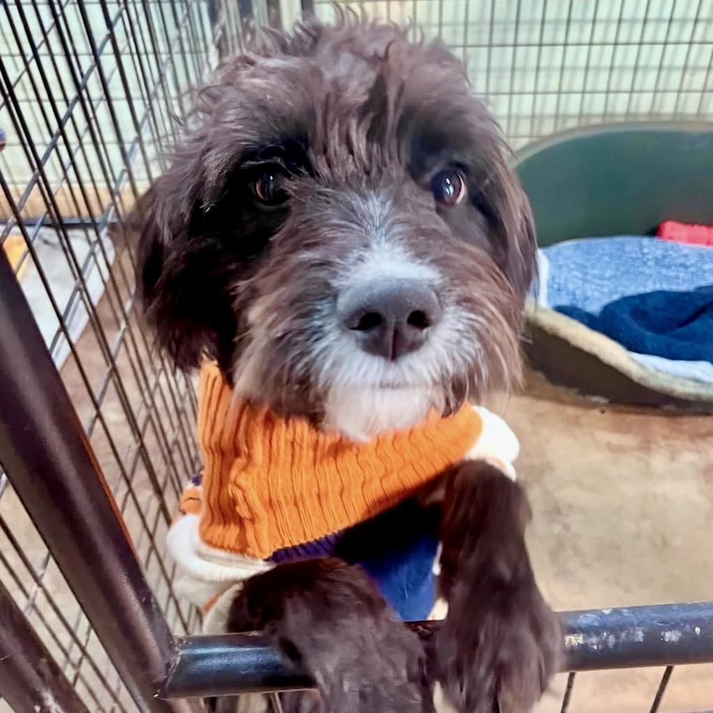 Mollie Mae thumbnail 3