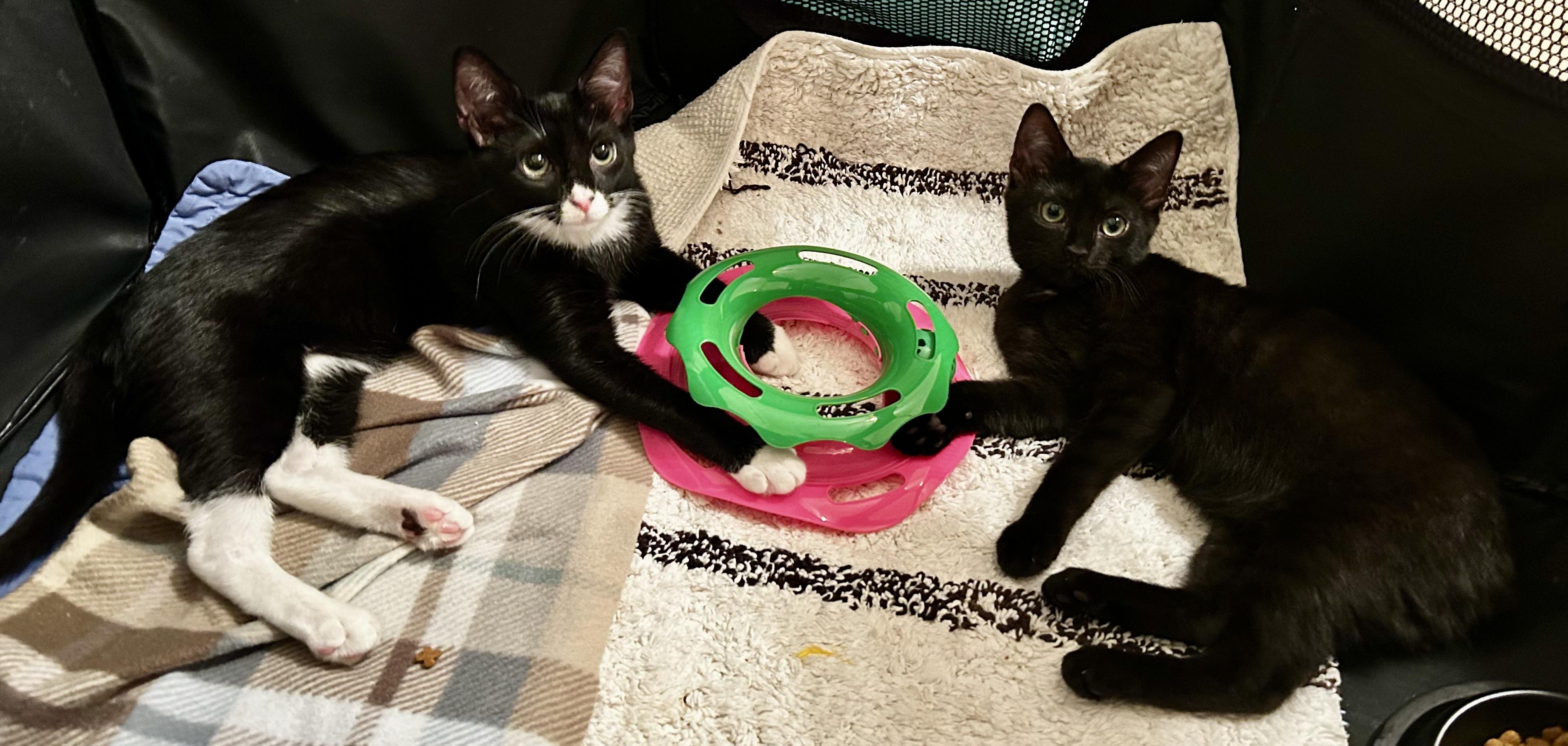 Letty & Mia thumbnail 4