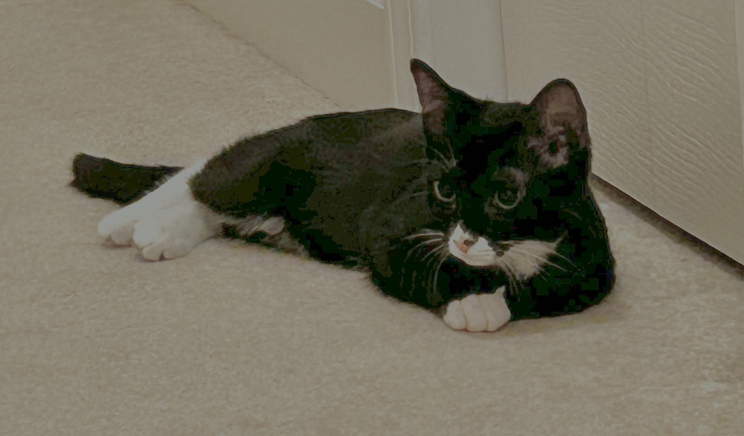 Letty & Mia thumbnail 6