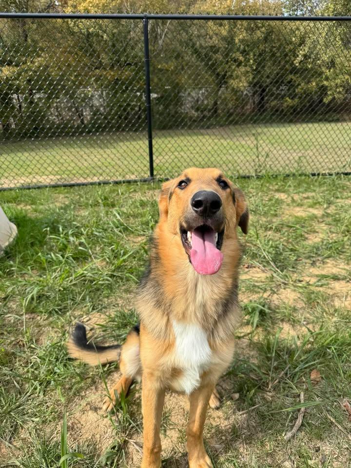 Onomatopoeia thumbnail 5