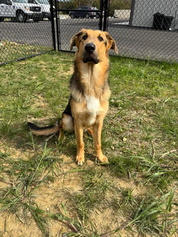 Onomatopoeia thumbnail 6