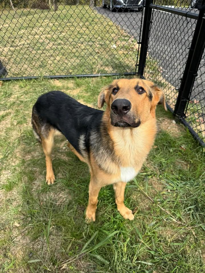 Onomatopoeia thumbnail 4