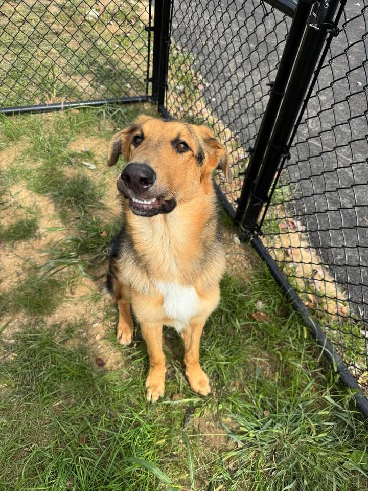 Onomatopoeia thumbnail 3