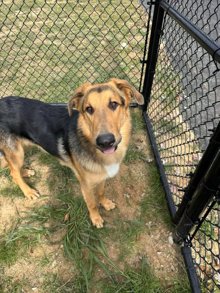 Onomatopoeia thumbnail 2