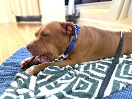 Mikah — thumbnail 2