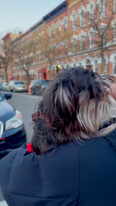 Enlarge Scruffy, a ADOPTABLE mixed breed in Brooklyn, NY video 2/5