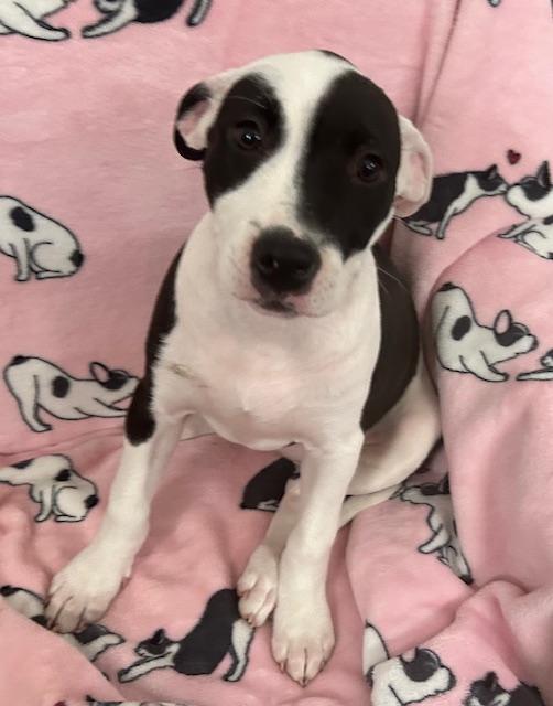 Krypto Glow — thumbnail 2