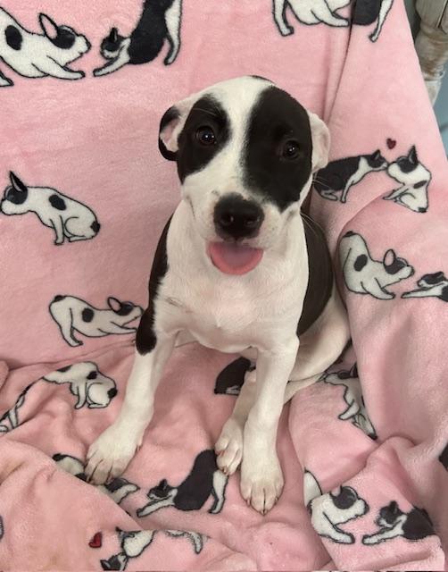 Krypto Glow — thumbnail 4