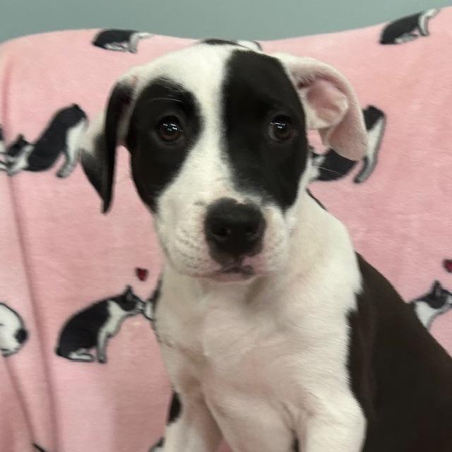 Krypto Glow — thumbnail 5