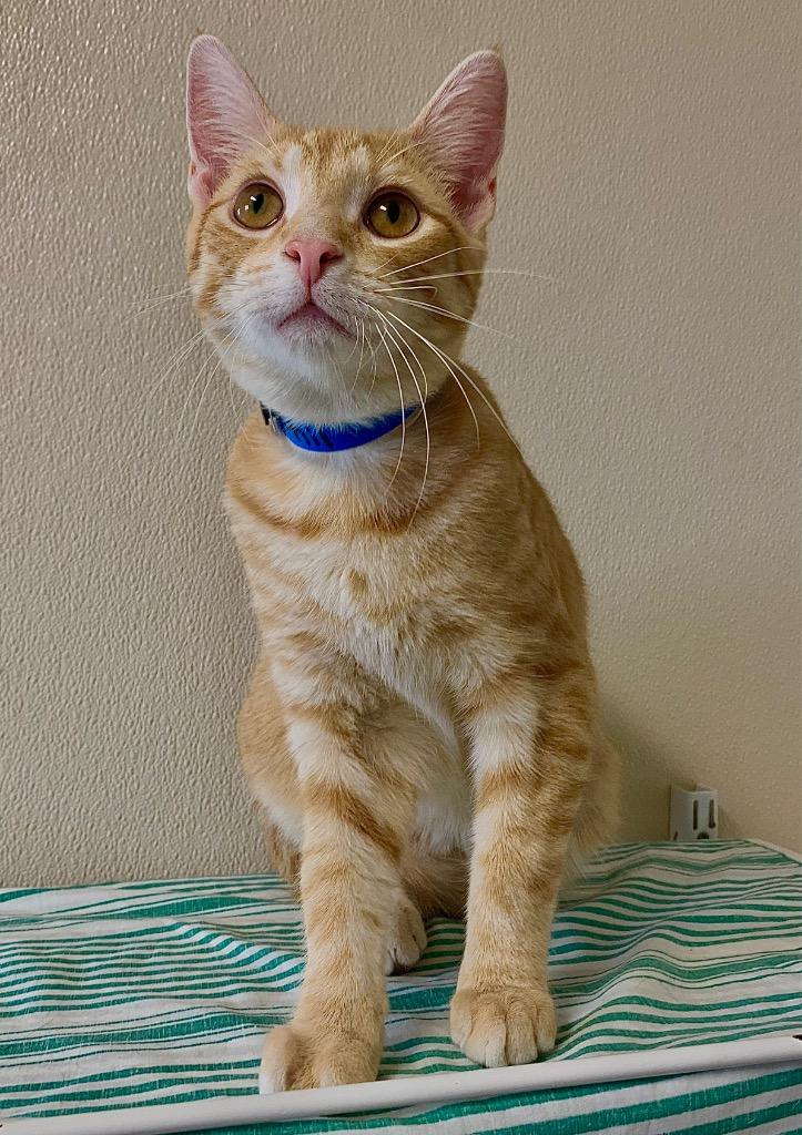 Phil — thumbnail 2