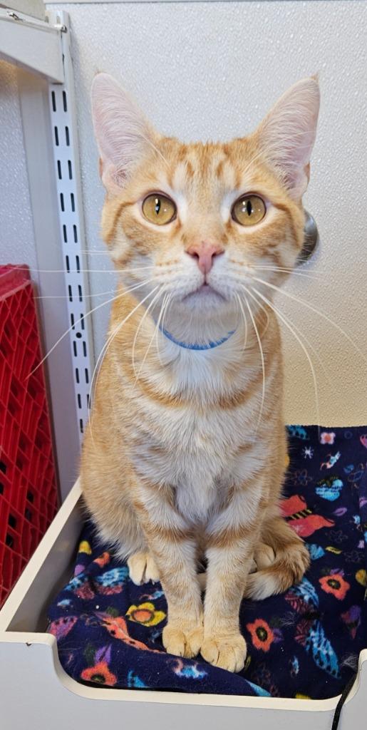 Phil — thumbnail 3