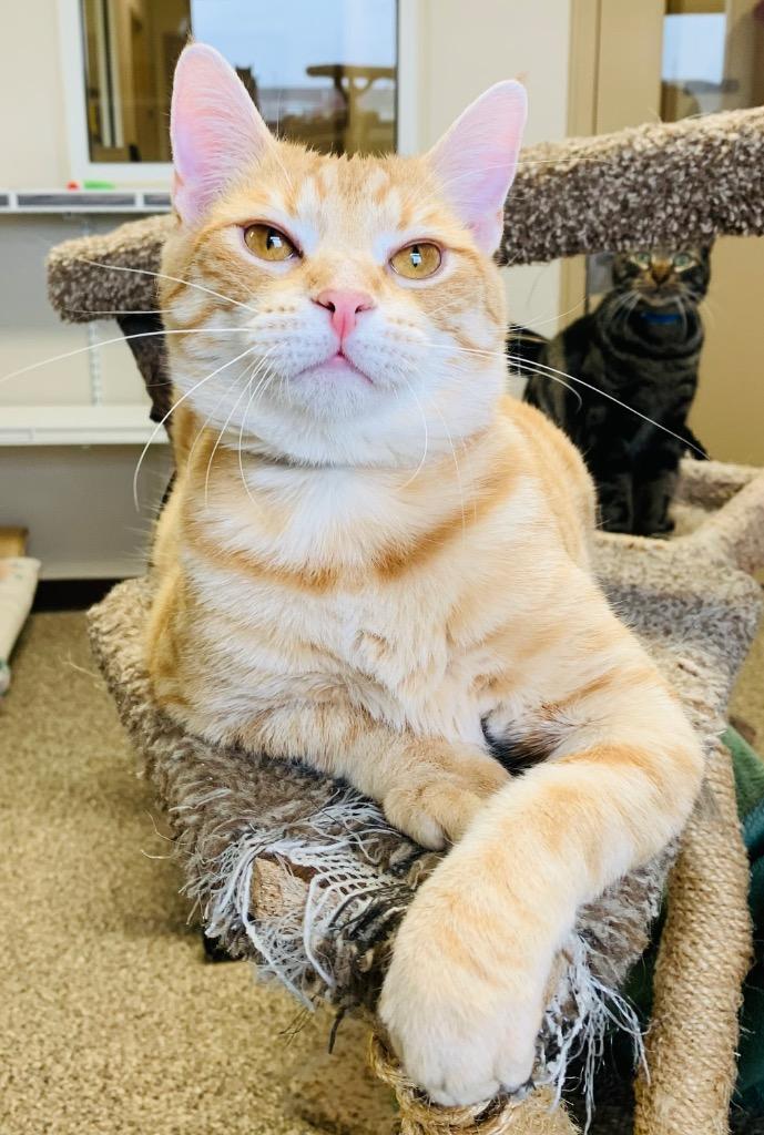 Phil — thumbnail 4