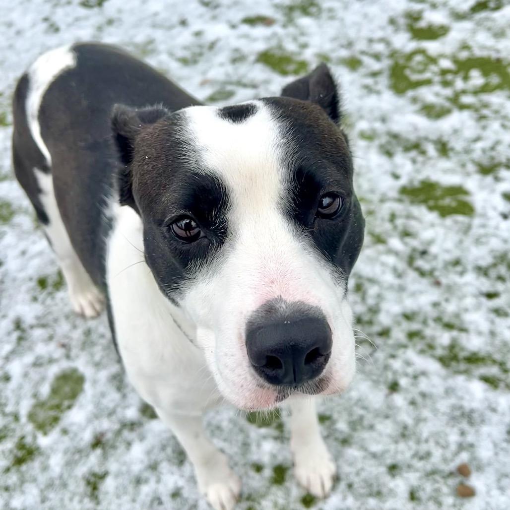 Elizabeth Taylor — thumbnail 2