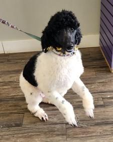 Hope & Haven-Precious Bonded Sisters!