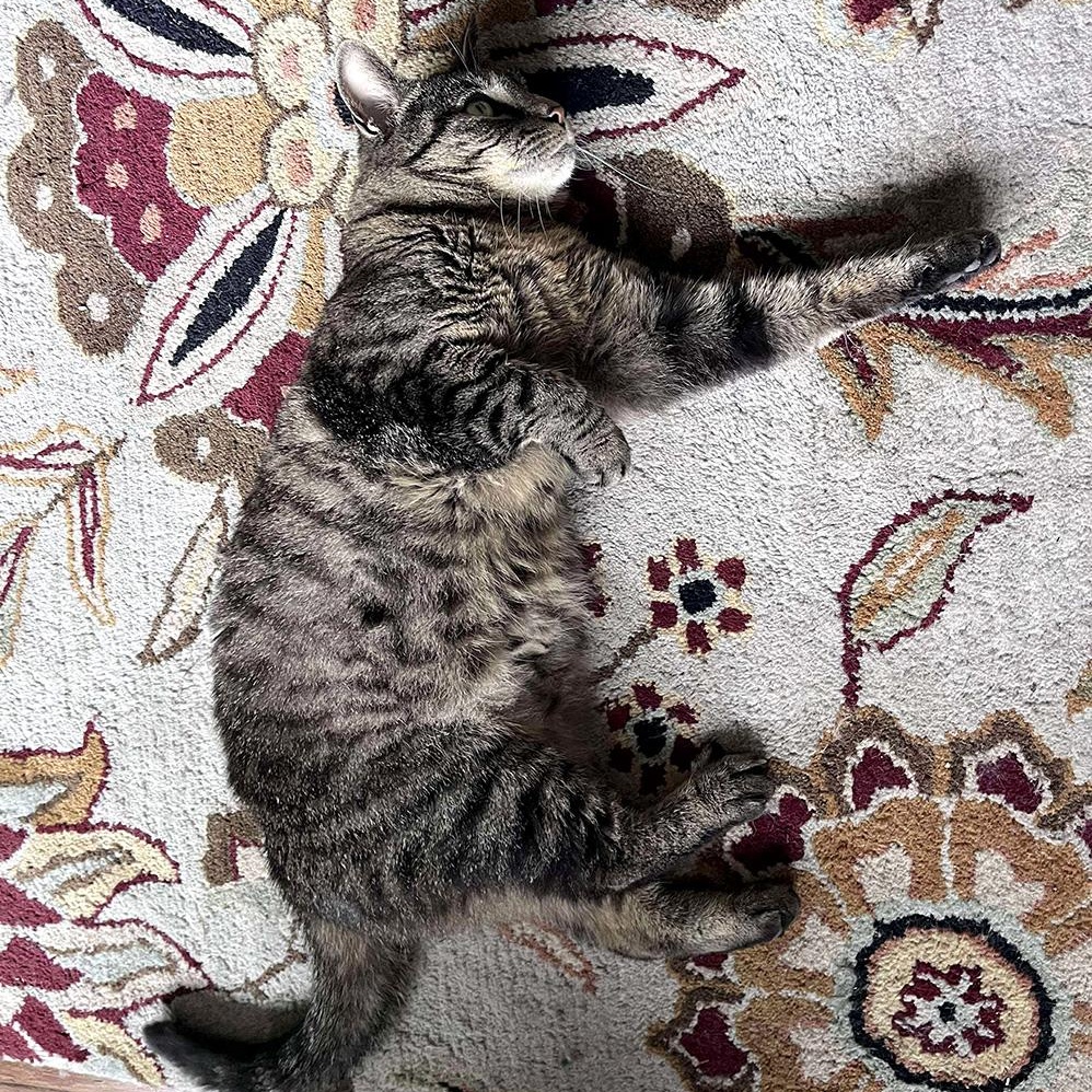 Cleopatra photo