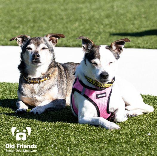 Lil Pete & Woody photo 1
