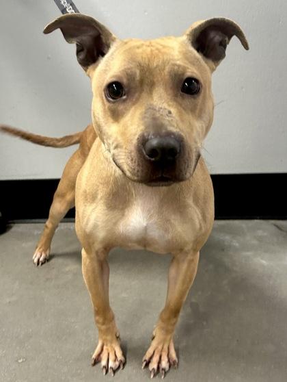 Ouiser Boudreaux fka Dog 6