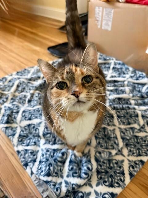 Lady — thumbnail 2