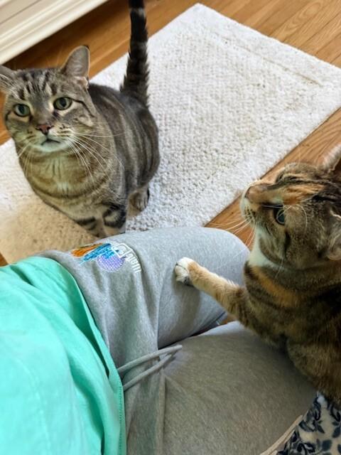 Lady — thumbnail 3