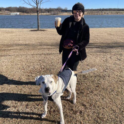 Kane, a Adoptable American Bulldog in Memphis, TN image 3/6
