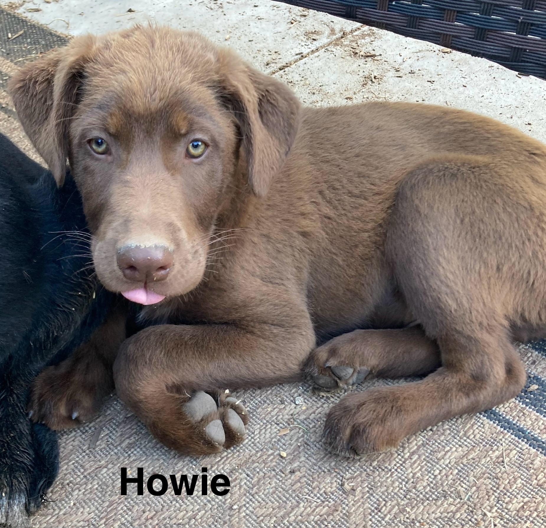 Howie