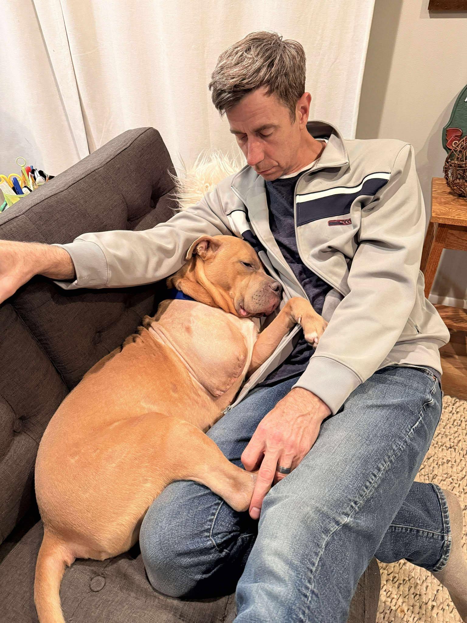 Enlarge Morris, a Adoptable mixed breed in Little Chute, WI image 2/6