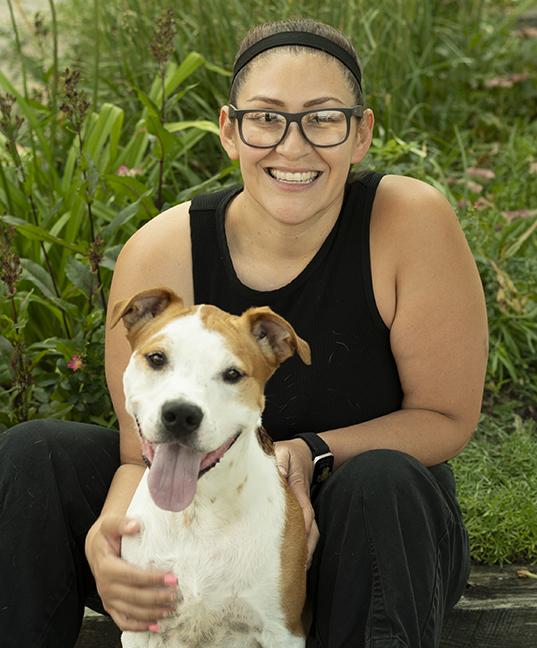 Romey, a ADOPTABLE mixed breed in Chicago, IL image 6/6