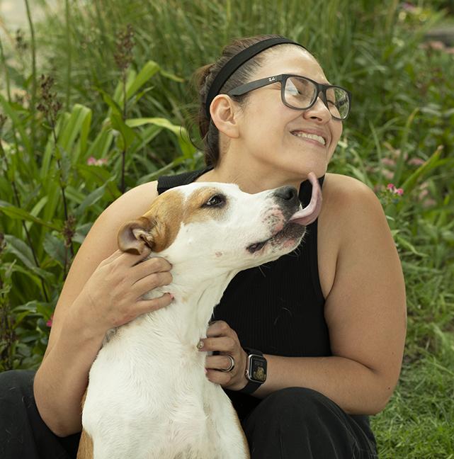 Romey, a ADOPTABLE mixed breed in Chicago, IL image 3/6