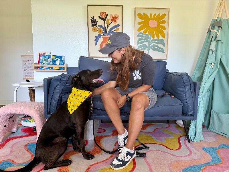 Ziggy Sweet and Gentle — thumbnail 4